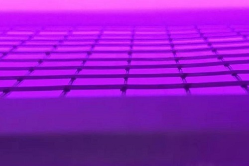 fpc麻豆视频APP免费版