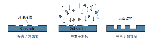 麻豆视频APP免费版特征3